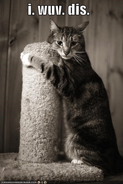 i. wuv. dis.