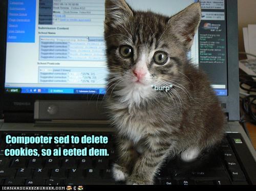 Compooter sed to delete cookies, so ai eeted dem.