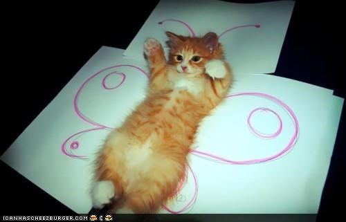 Cyoot Kitteh of teh Day: Catterfly