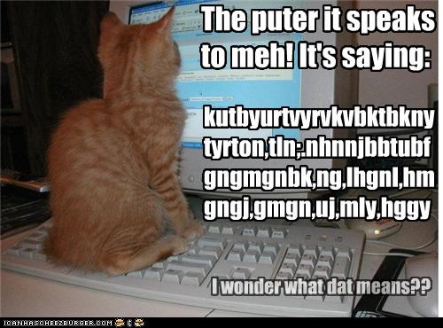 The puter it speaks to meh! It's saying: