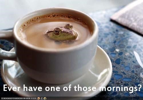 Ever have one of those mornings?