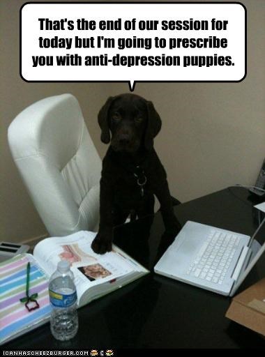 That's the end of our session for today but I'm going to prescribe you with anti-depression puppies.