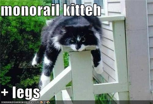 monorail kitteh  + legs