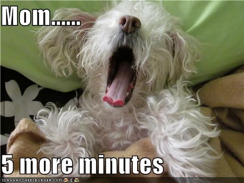 Mom......  5 more minutes