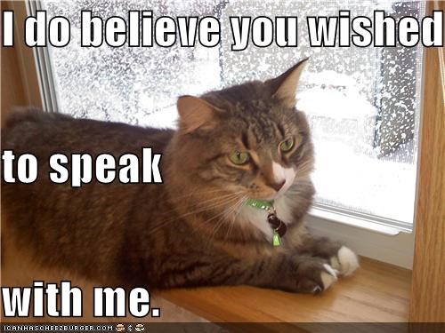 I do believe you wished to speak  with me.