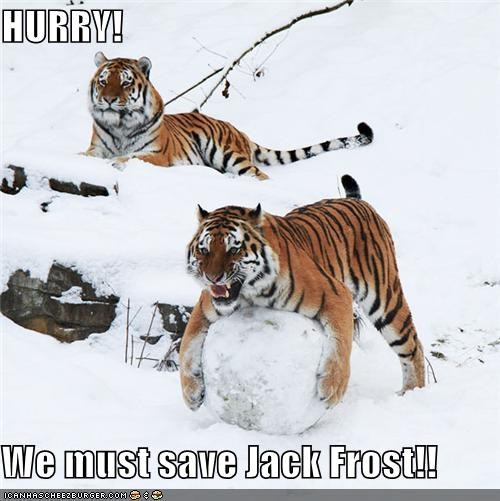 HURRY!  We must save Jack Frost!!