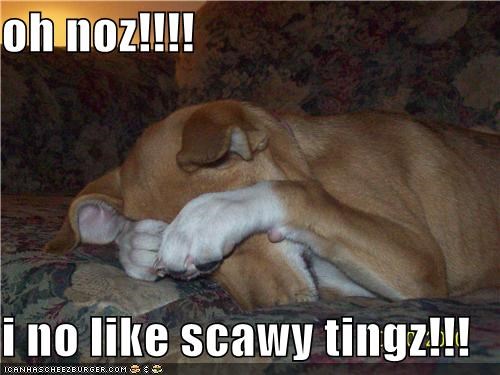 oh noz!!!!  i no like scawy tingz!!!