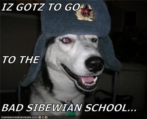 IZ GOTZ TO GO TO THE BAD SIBEWIAN SCHOOL...
