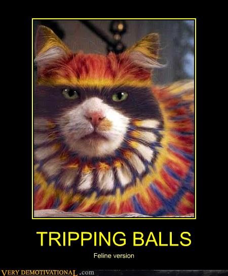TRIPPING BALLS