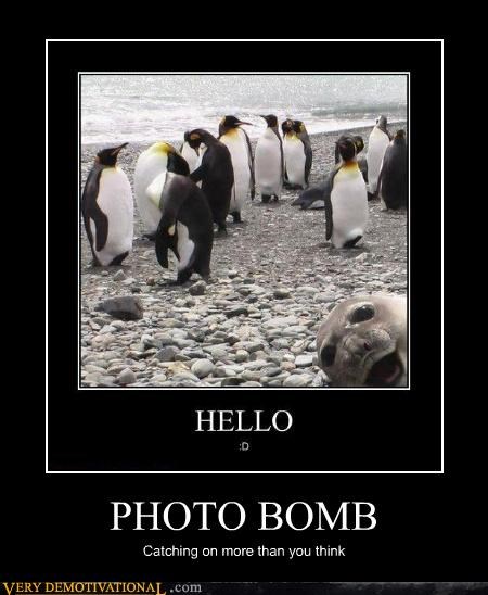 PHOTO BOMB