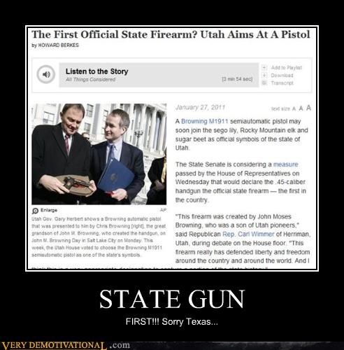 STATE GUN