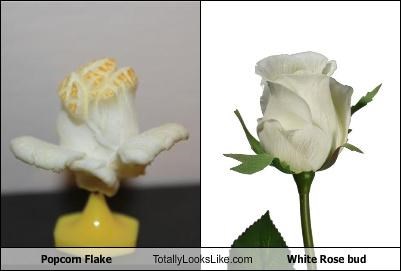 Popcorn Flake Totally Looks Like White Rose bud