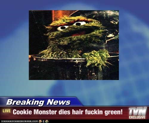 Breaking News - Cookie Monster dies hair fuckin green!