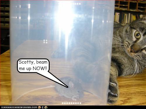 Scotty, beam me up NOW!!