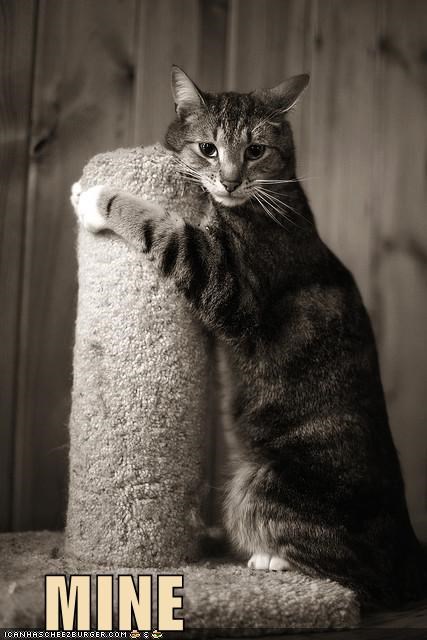 MINE