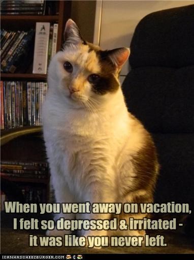 When you went away on vacation, I felt so depressed & irritated - it was like you never left.