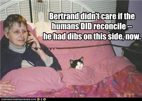 Bertrand didn't care if the humans DID reconcile -- he had dibs on this side, now.