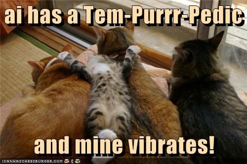 ai has a Tem-Purrr-Pedic     and mine vibrates!