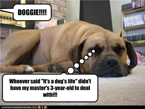 Whoever said "It's a dog's life" didn't have my master's 3-year-old to deal with!!!