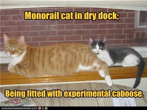 Monorail cat in dry dock;