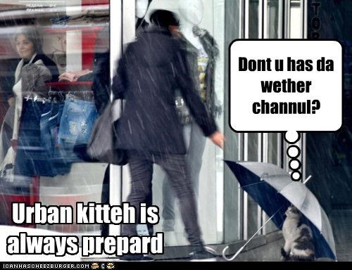 Urban kitteh is always prepard