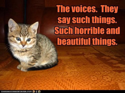 The voices.  They say such things.  Such horrible and beautiful things.