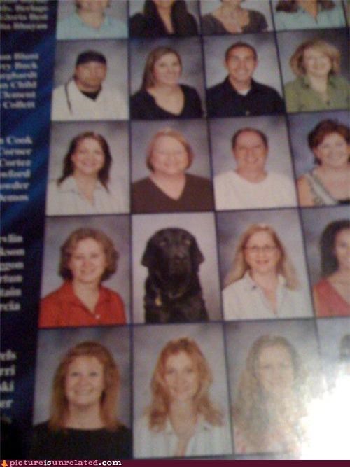 Yea Dawg Yearbook