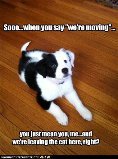 Sooo...when you say "we're moving"...