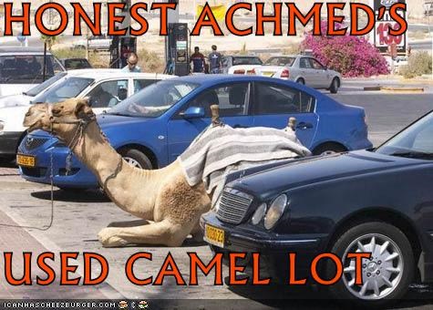 HONEST ACHMED'S  USED CAMEL LOT