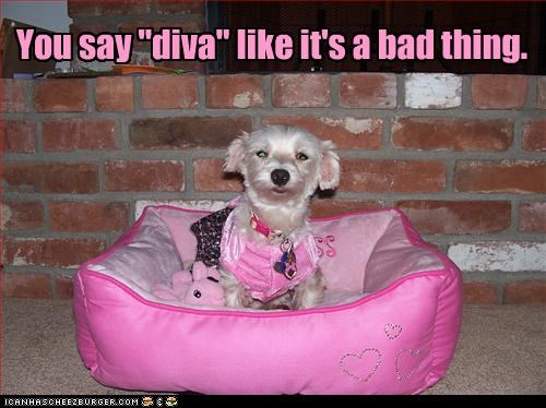 You say "diva" like it's a bad thing.