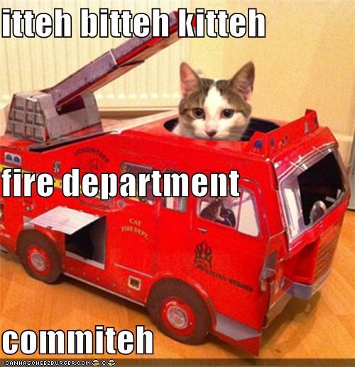 itteh bitteh kitteh fire department commiteh