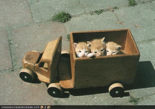 Cyoot Kittehs of teh Day: Dump Truck Full of Squee