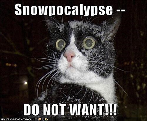 Snowpocalypse --  DO NOT WANT!!!