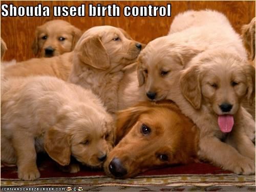 Shouda used birth control