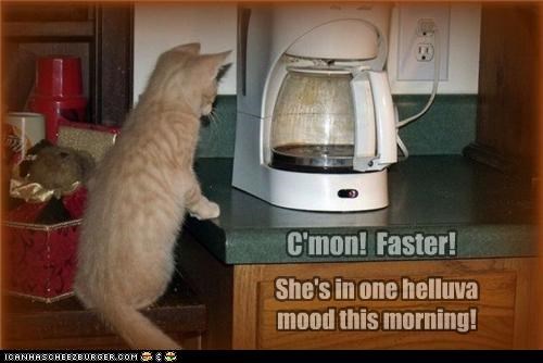 C'mon! Faster! She's in one helluva mood this morning!