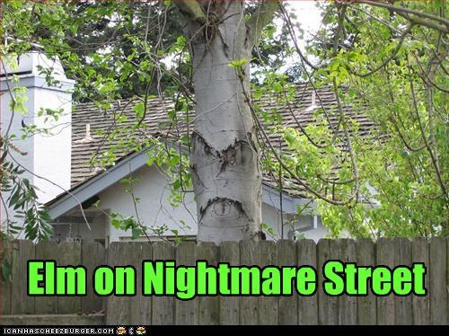 Elm on Nightmare Street