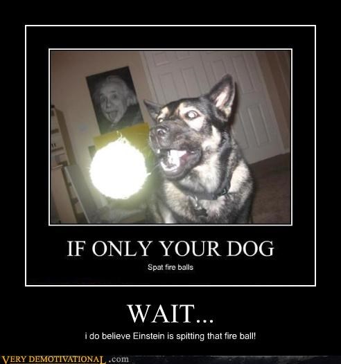 WAIT...