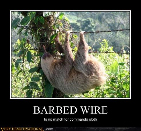 BARBED WIRE