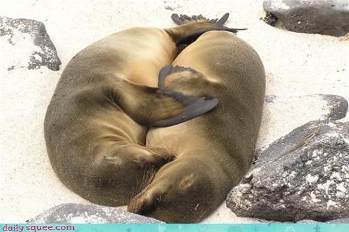 Spooning on the beach