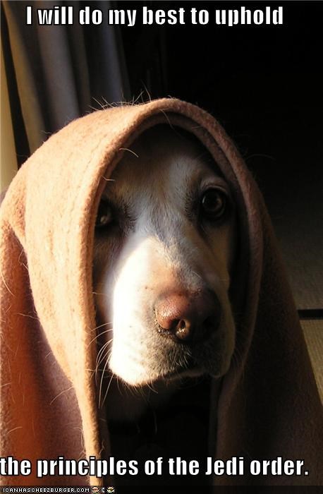 I will do my best to uphold  the principles of the Jedi order.