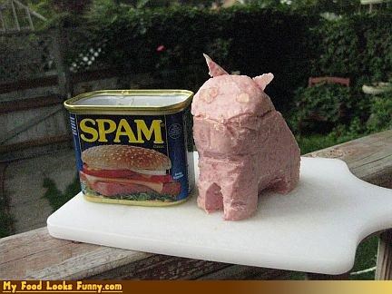 Funny Food Photos - Spam Alot