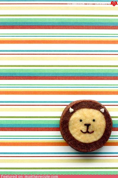 Epicute: Lion Icebox Cookies