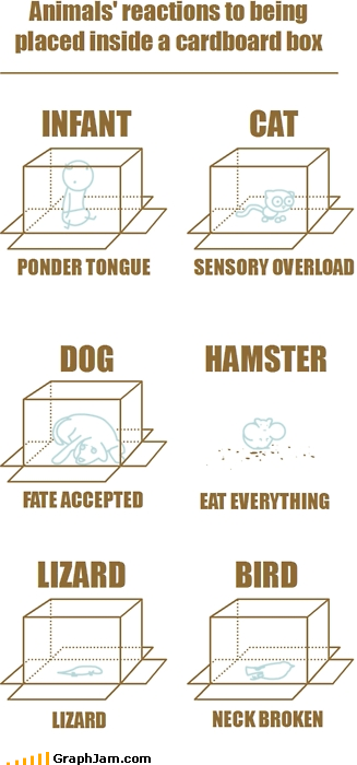 Thinking Inside the Box