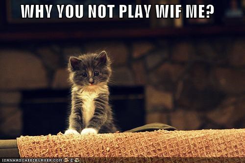 WHY YOU NOT PLAY WIF ME?