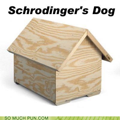 Schrodinger's Dog