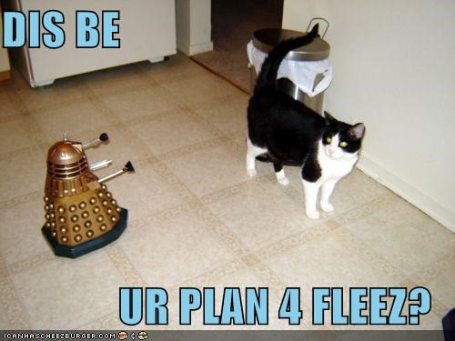 DIS BE  UR PLAN 4 FLEEZ?