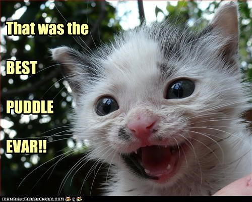 That was the  BEST    PUDDLE  EVAR!!