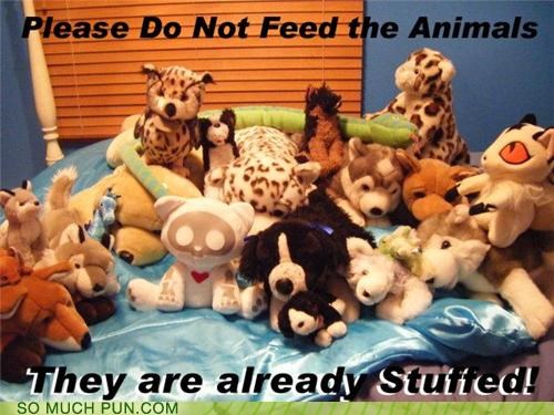 Please Do Not Feed the Animals!