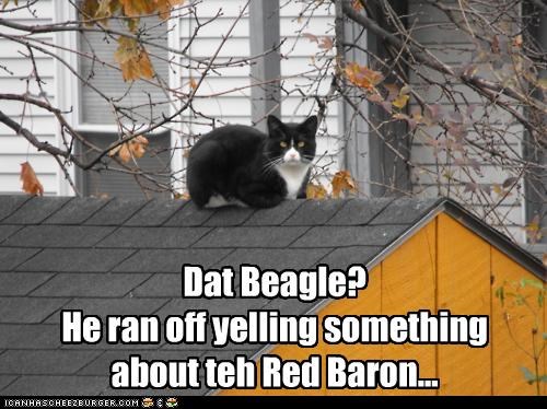 Dat Beagle?  He ran off yelling something about teh Red Baron...