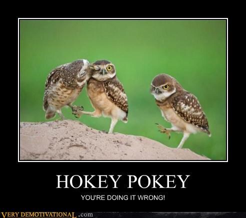 HOKEY POKEY